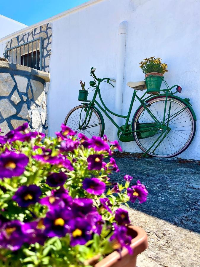 Trullo Bello 奥斯图尼 外观 照片